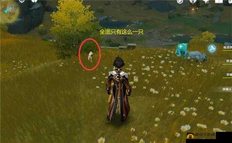 原神靴子鼬捕捉位置分享：探索神秘的靴子鼬栖息地