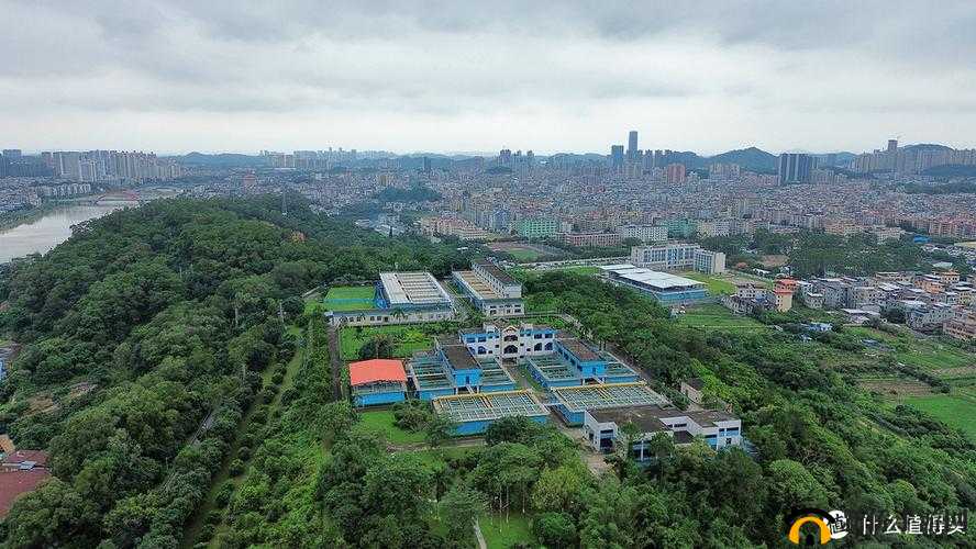 无人一区二区的区别是什么