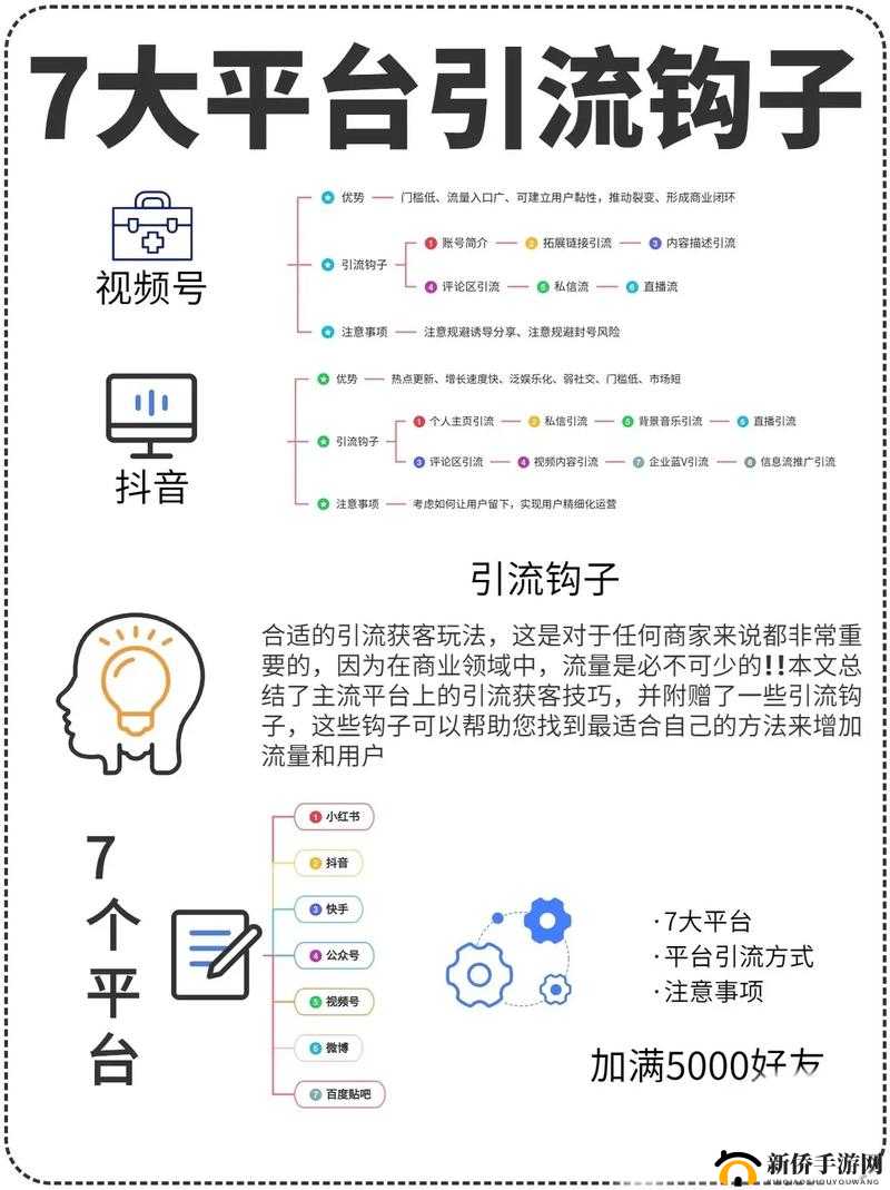 seo 短视频网页入口引流：提升网站流量的必备技巧