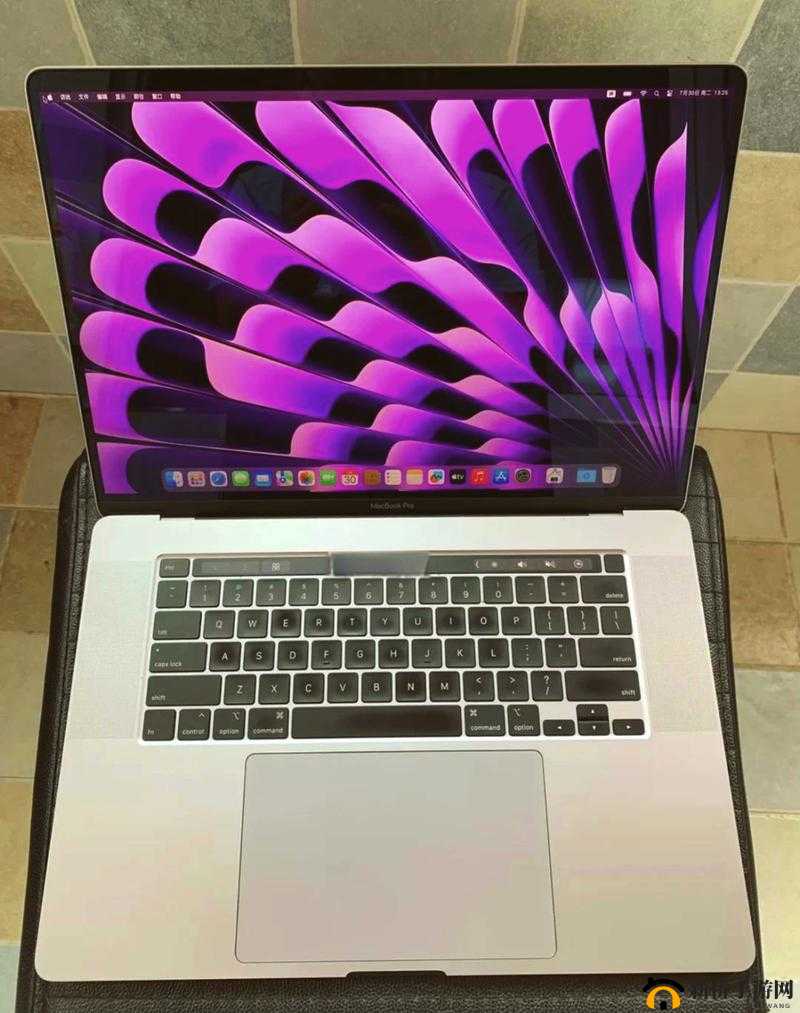 16 岁日本学生 MacBookPro 评测-实际价值与影响解析