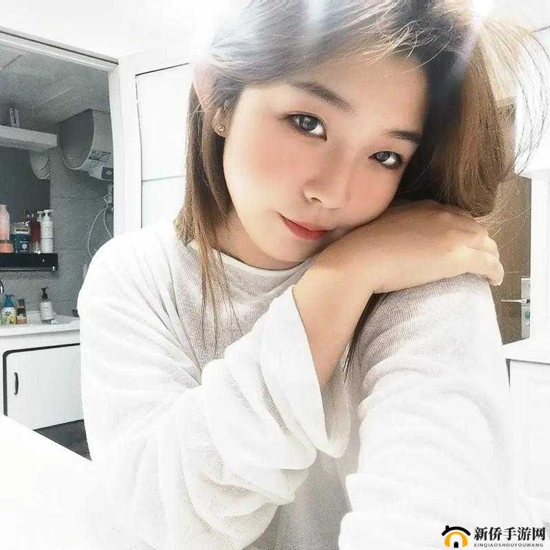 黑料反差婊荷兰：揭开其真面目