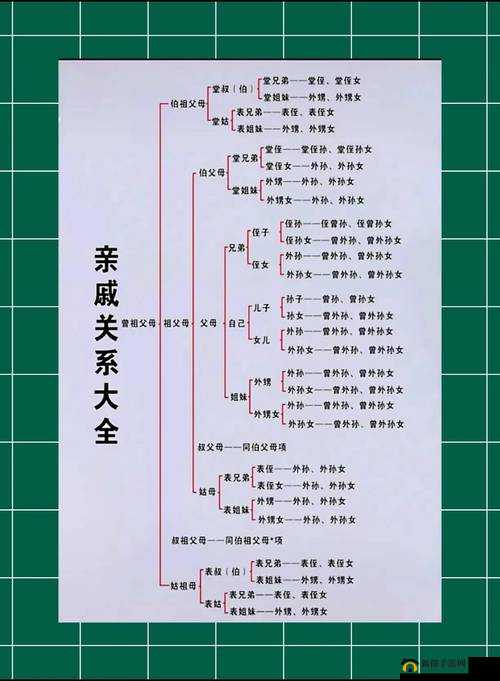 爸爸叫我 Cod 妈妈小新外婆：温馨的家庭称谓