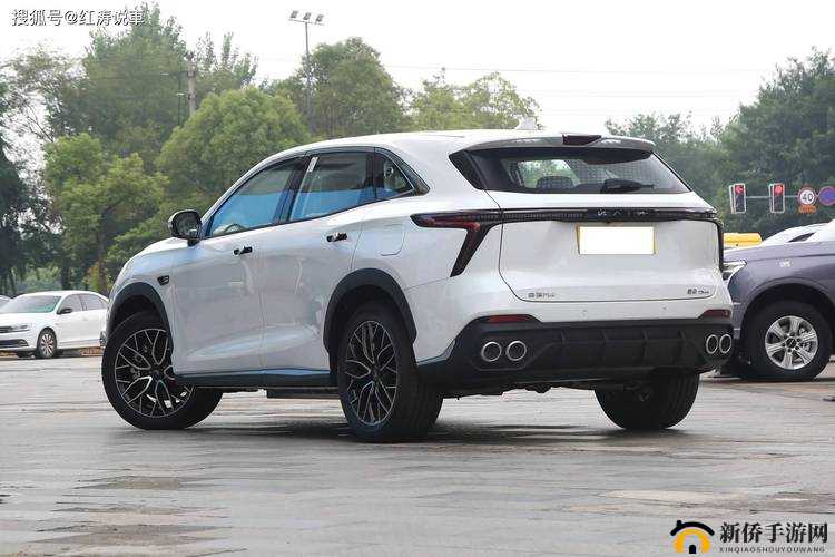 HD100%VIEDIOSI 精彩视频全收录