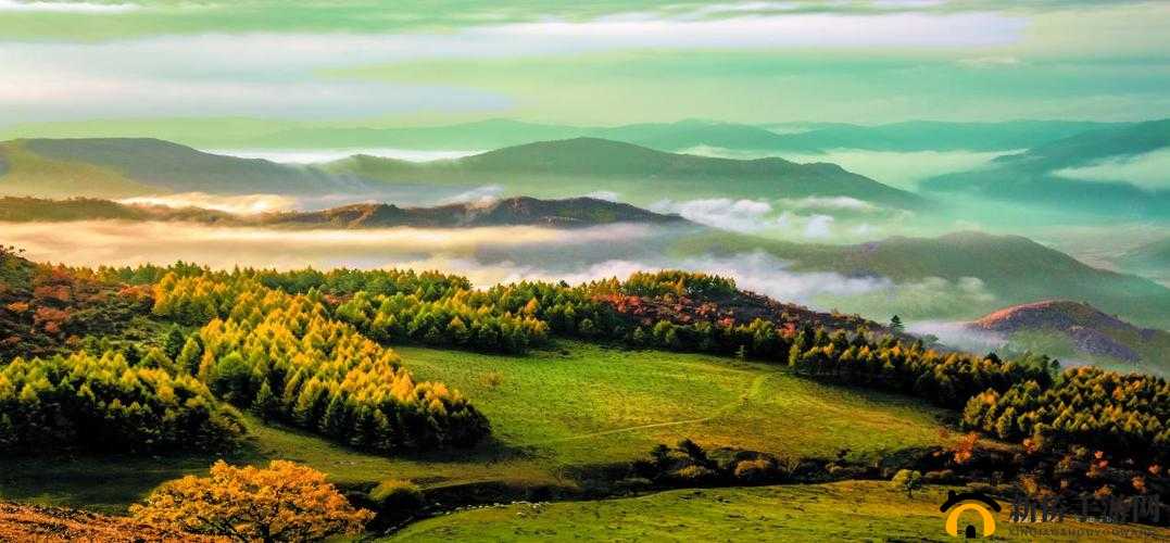 桃园色界的独特魅力与精彩呈现