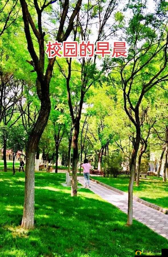 朝阳初升校园 1-1 小时的独特景象