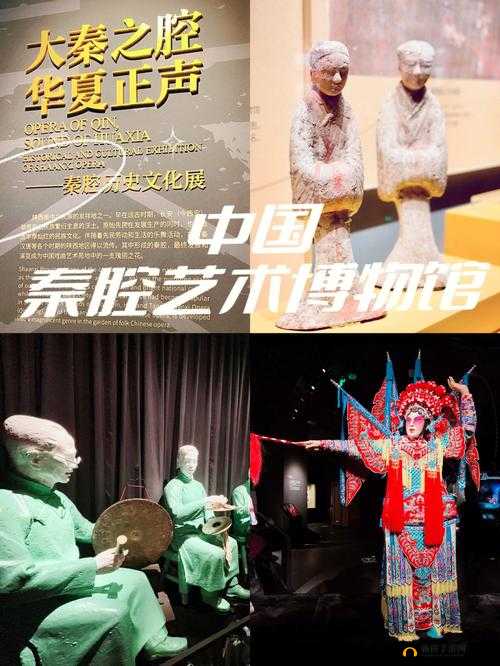 强-the 戏ㄟpro 中国：展现独特魅力