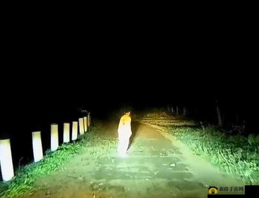 小孩半夜给姐姐吃困吧：诡异的亲情互动