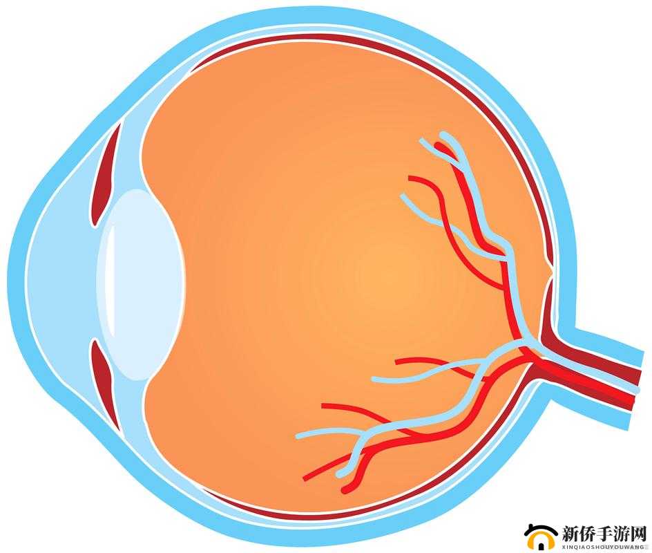 奥山军需官究竟身处何方 探寻其神秘的所在位置
