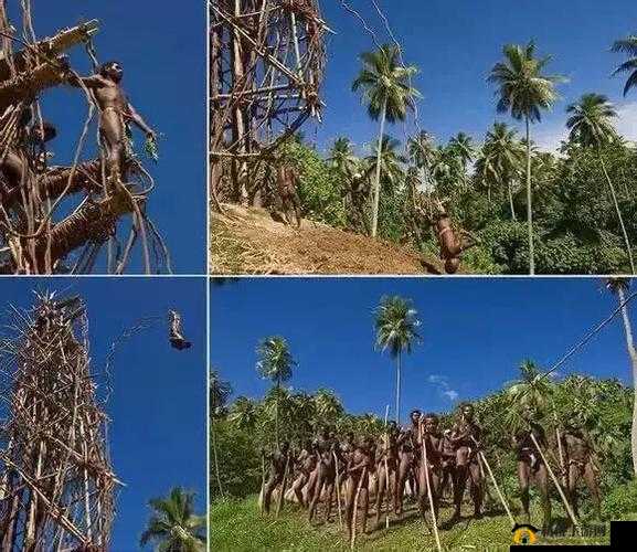 台湾佬大咪咪网：探索成人世界的奇妙之地