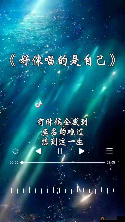 你听过那是个什么样的人啊这首歌吗？唱出了多少人的心声