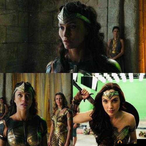 正义联盟：亚马逊女战士大战亚特兰蒂斯国王