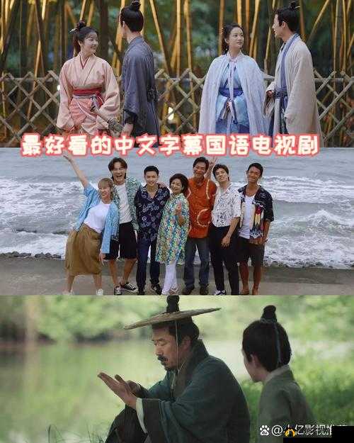 最好看的中文字幕国语电视剧：精彩剧集推荐