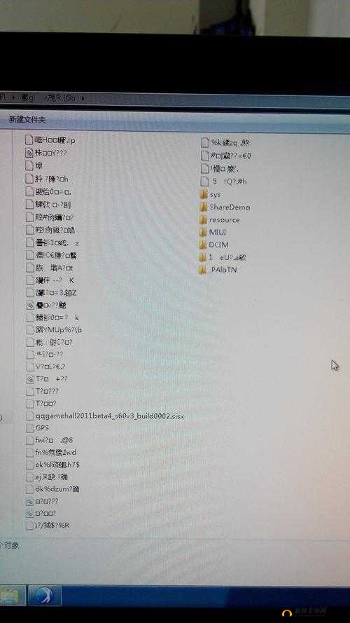 揭秘无人区一码卡二卡三乱码：背后的真相