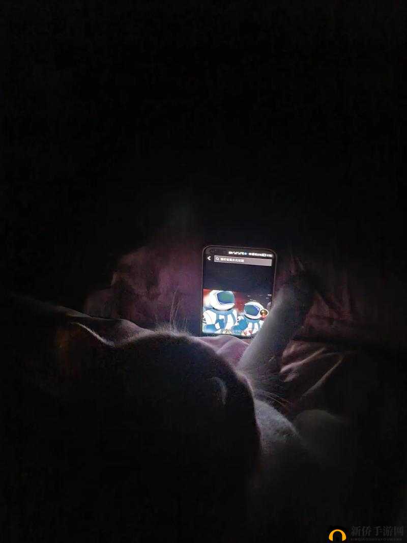 男生半夜不睡觉偷偷看 B 站：背后的秘密