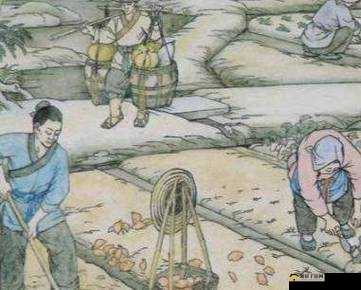 儿子耕了母亲荒废的田清朝：背后的故事