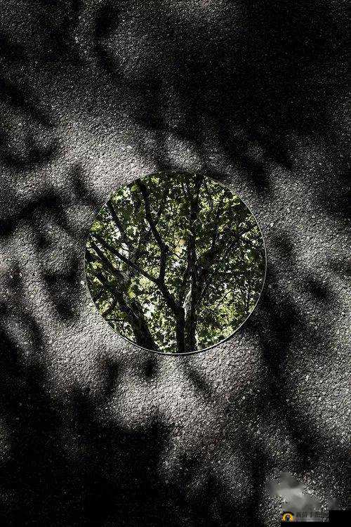 镜子中我们的结合处发出：爱与美的交融