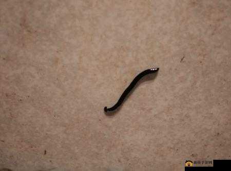 判断-有一根又黑又硬的蘑菇头：它是什么模样