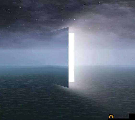 年轻人看 B 站入口直播：打开新世界的大门