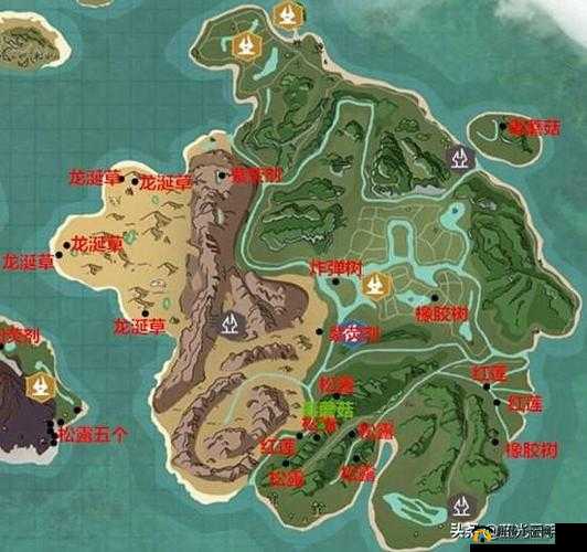 以创造与魔法红辣椒坐标为中心展开的奇妙探索之旅