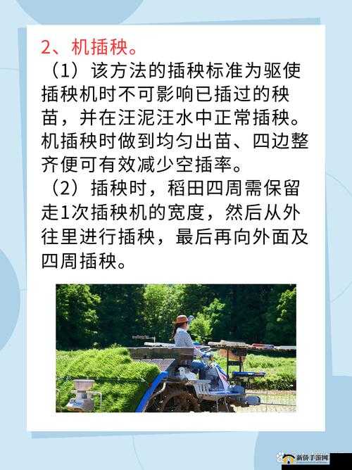 24 种男女插秧法：传统农耕的独特技巧
