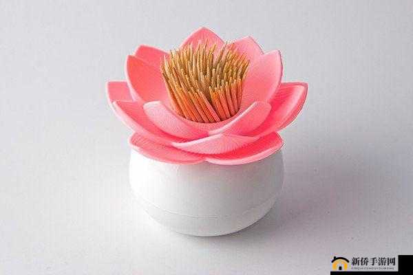 厨房春潮莲花坐顶：独特的存在