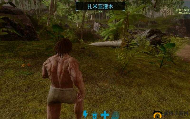 方舟生存进化游戏攻略：揭秘游戏冷知识与进化生存心得览