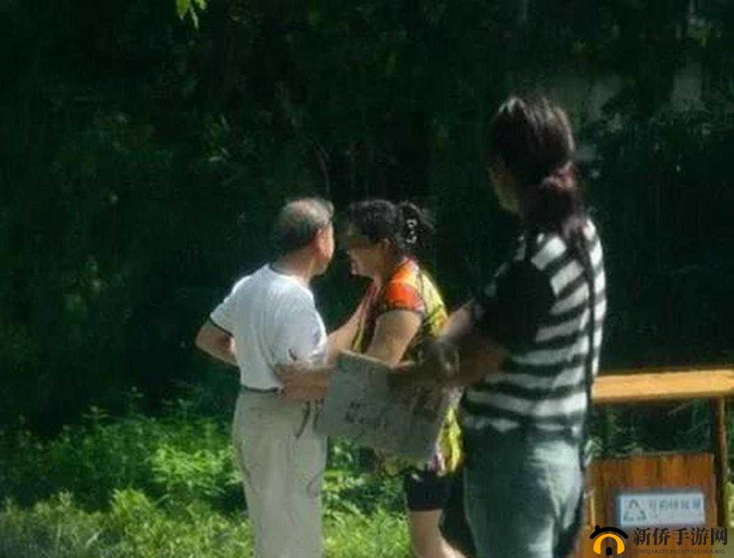 公园小树中老年交易图片：背后的故事