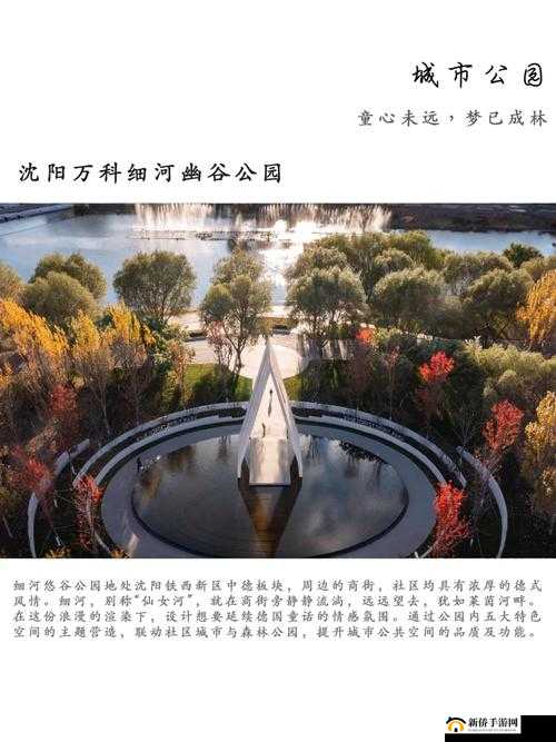 幽谷花径内的阻力突然减小之谜