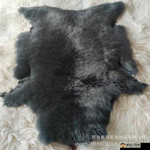 AAAA 级毛皮：黑、白、灰