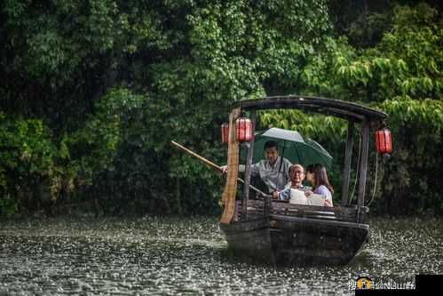 老人：雨婷，船上的雨让我着迷