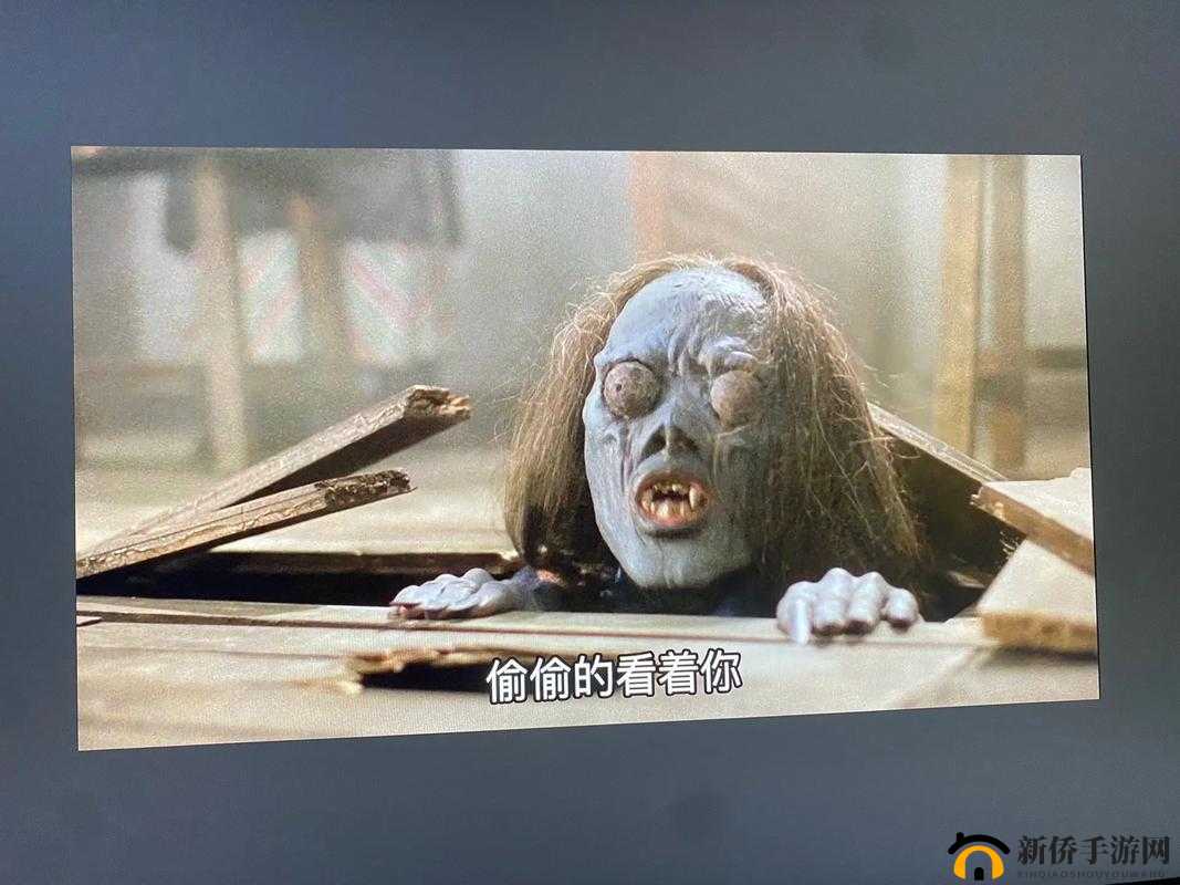 一层一层剥开我的衣服：探索神秘之旅