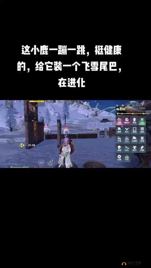 如何才能成功获取飞雪尾巴 这里有你想知道的方法