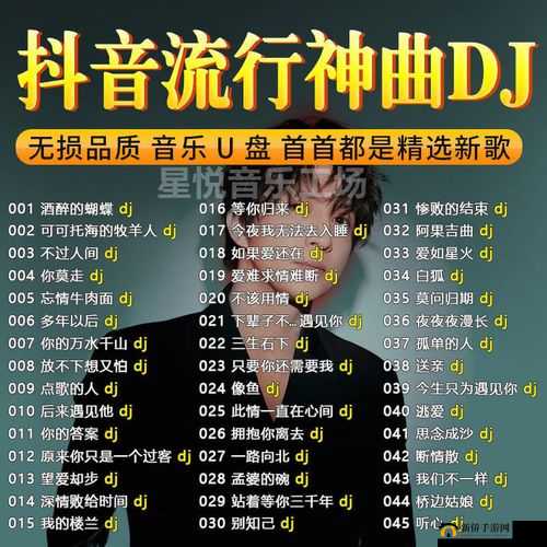 抖音热曲白了佛冷及相关 DJ 歌分享精彩呈现