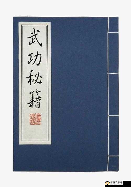 江湖十一：少林卧虎功获取秘籍，称霸武林不是梦
