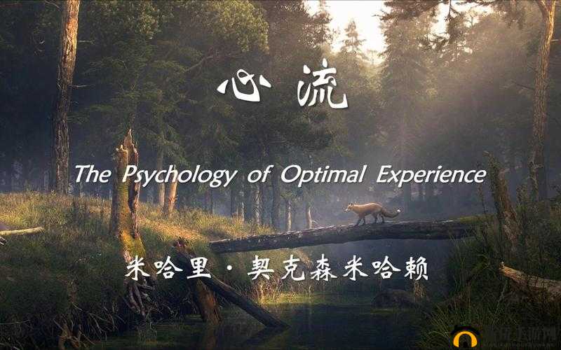 探索死亡之嚎攻速的极限：提升角色战斗能力的关键