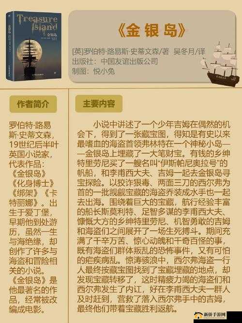 金银岛攻略：探索宝藏的冒险之旅