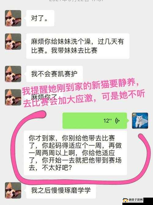 独家爆料免费吃瓜在线观看：独家猛料，免费畅享