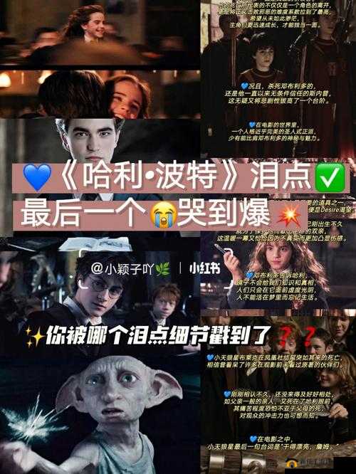 哈利波特的宝石拥有哪些神奇能力以及在魔法世界的作用解析