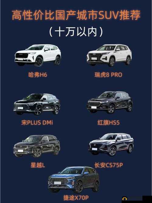 国产又大又便宜的SUV：性价比之王等你来选