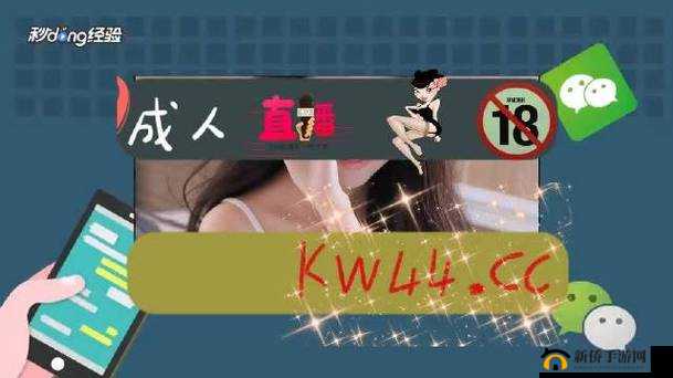 魅影直播：精彩内容等你来发现