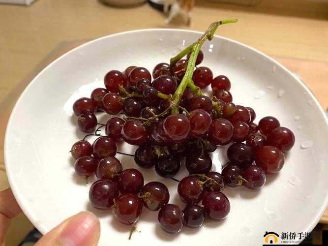 对着镜子把葡萄一粒粒：别样的行为探索