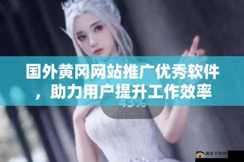 国外黄冈网站推广软件：提升网站知名度的有效工具