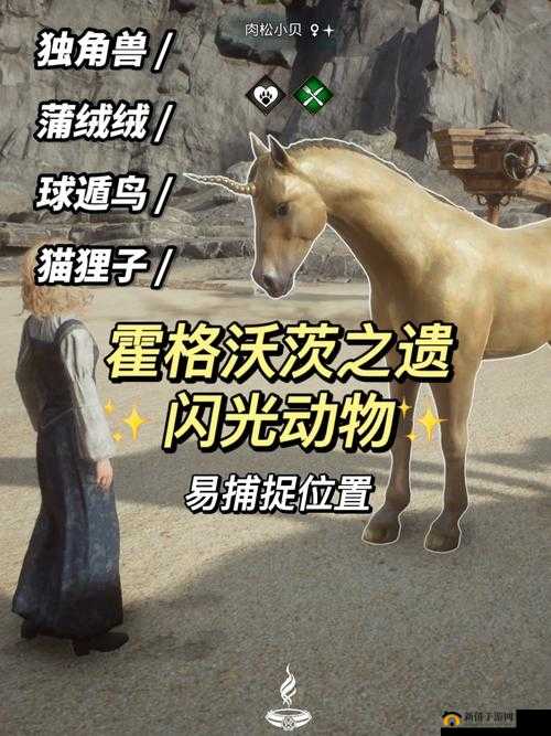 霍格沃茨之遗球遁鸟具体位置全解析 助你轻松找寻