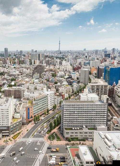日本乱码卡一卡新区入口：全新体验，等你来探索