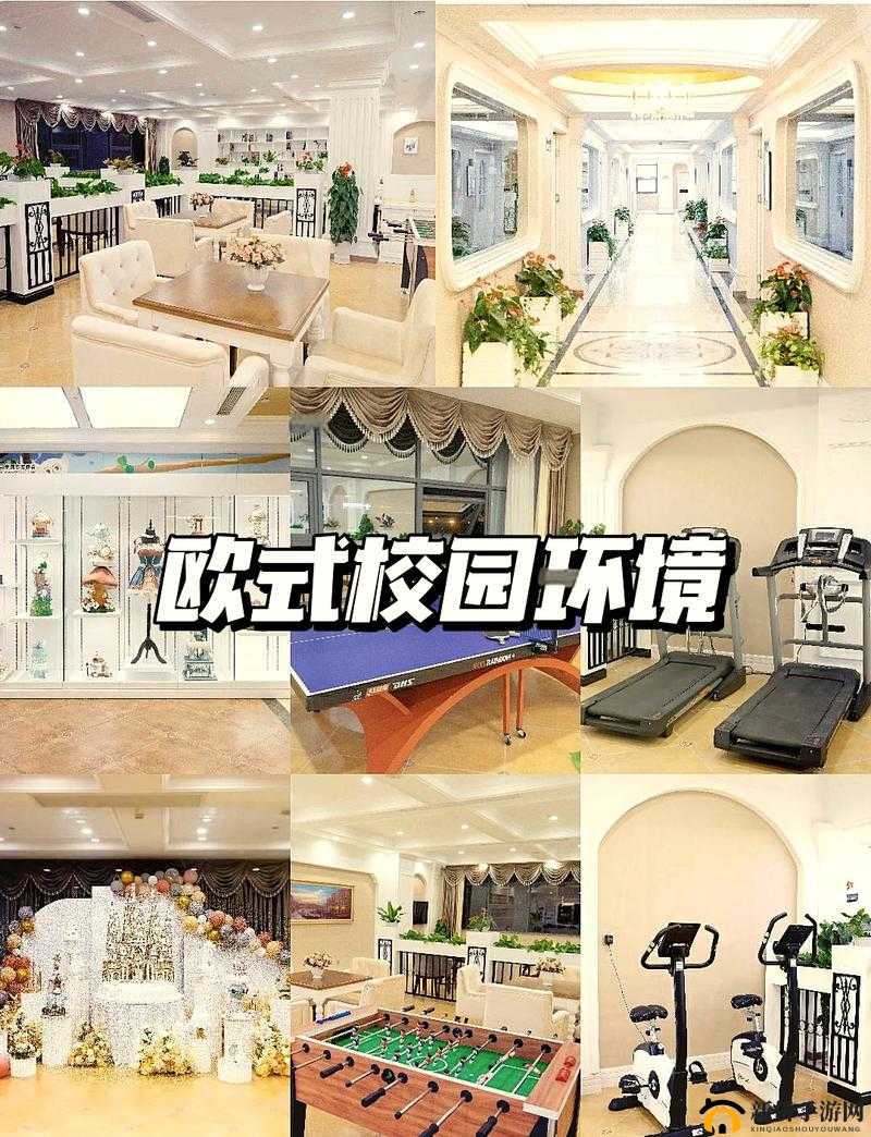 封神英雄 OL 全攻略 从新手入门到高手进阶的必备秘籍指南