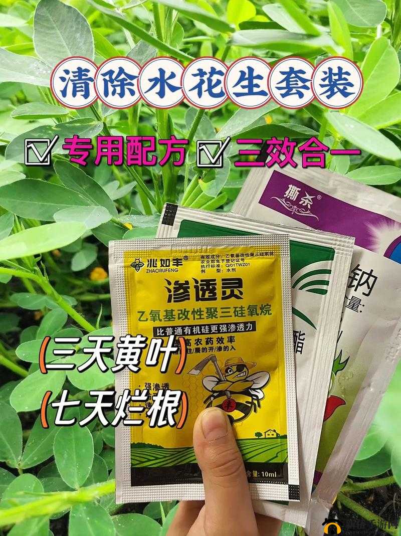 探索缺氧刺花的高效种植秘诀及完美收成策略
