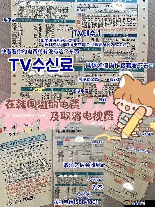 韩国三色电费免费吗：真的假的