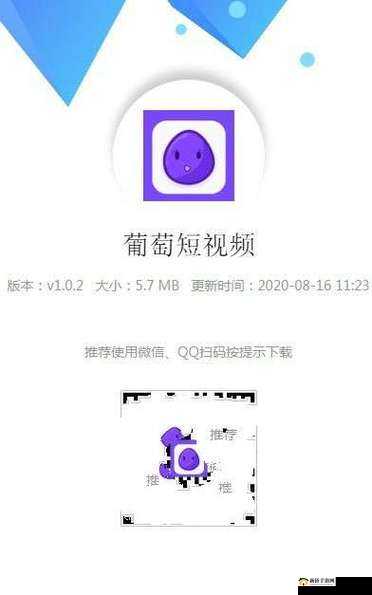 成品短视频 APP 软件大全：各类热门 APP 汇聚