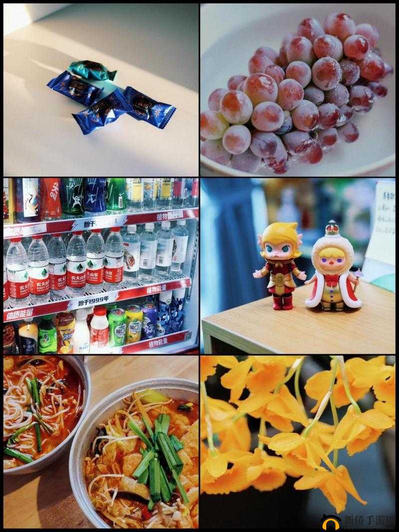 神奇的小痰盂——揭开其独特魅力与不凡之处