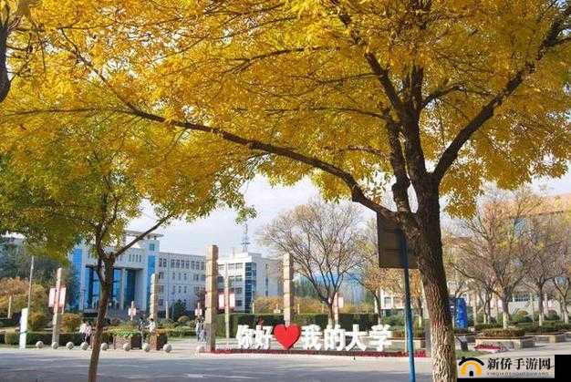 校园 pop1∨1h 温软冷意：独特校园氛围